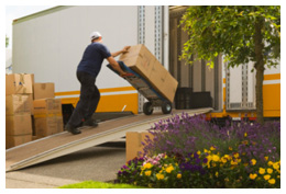 Packing and Removals